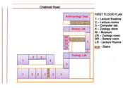 Eirst Floor Plan